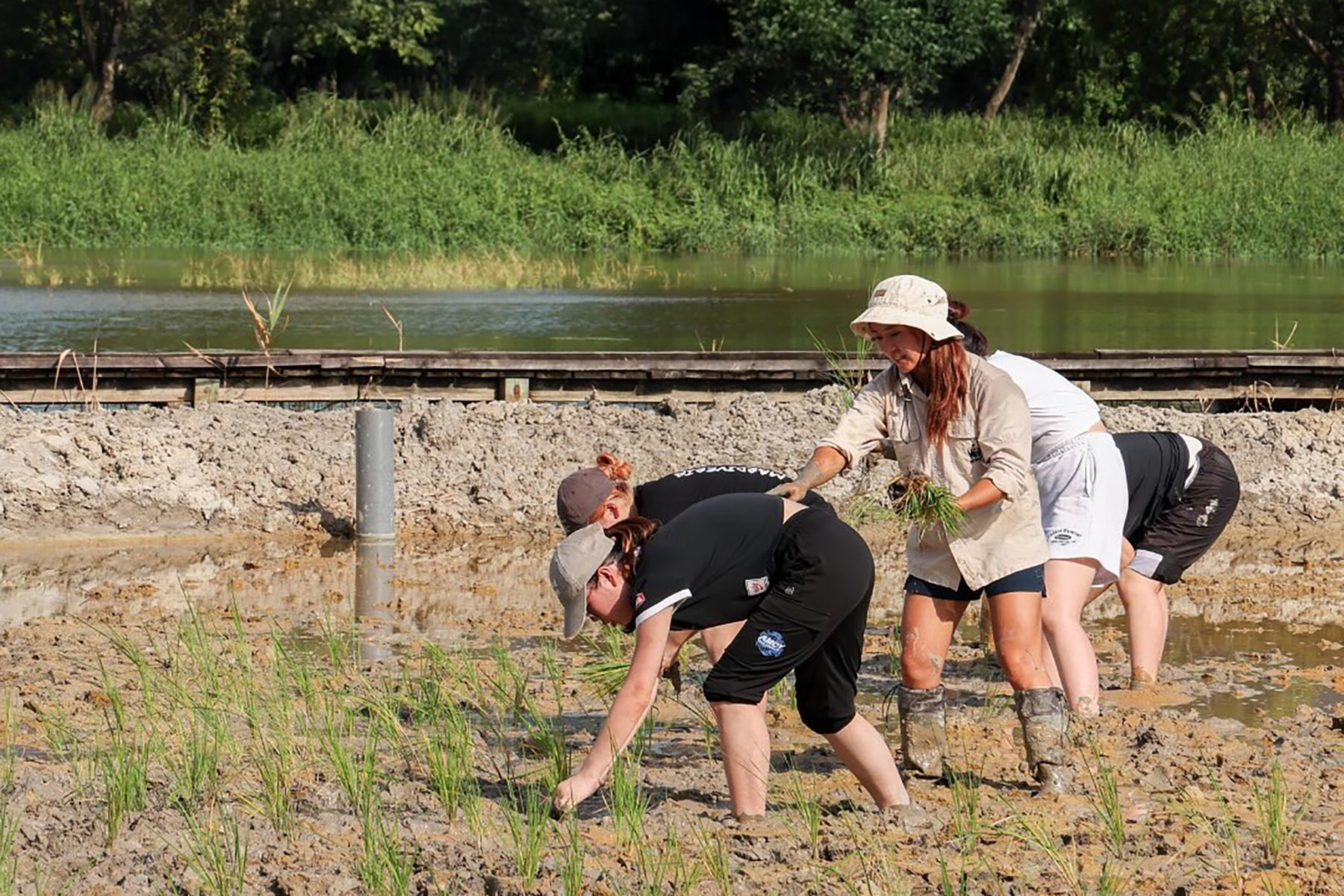 Innovative Service-Learning