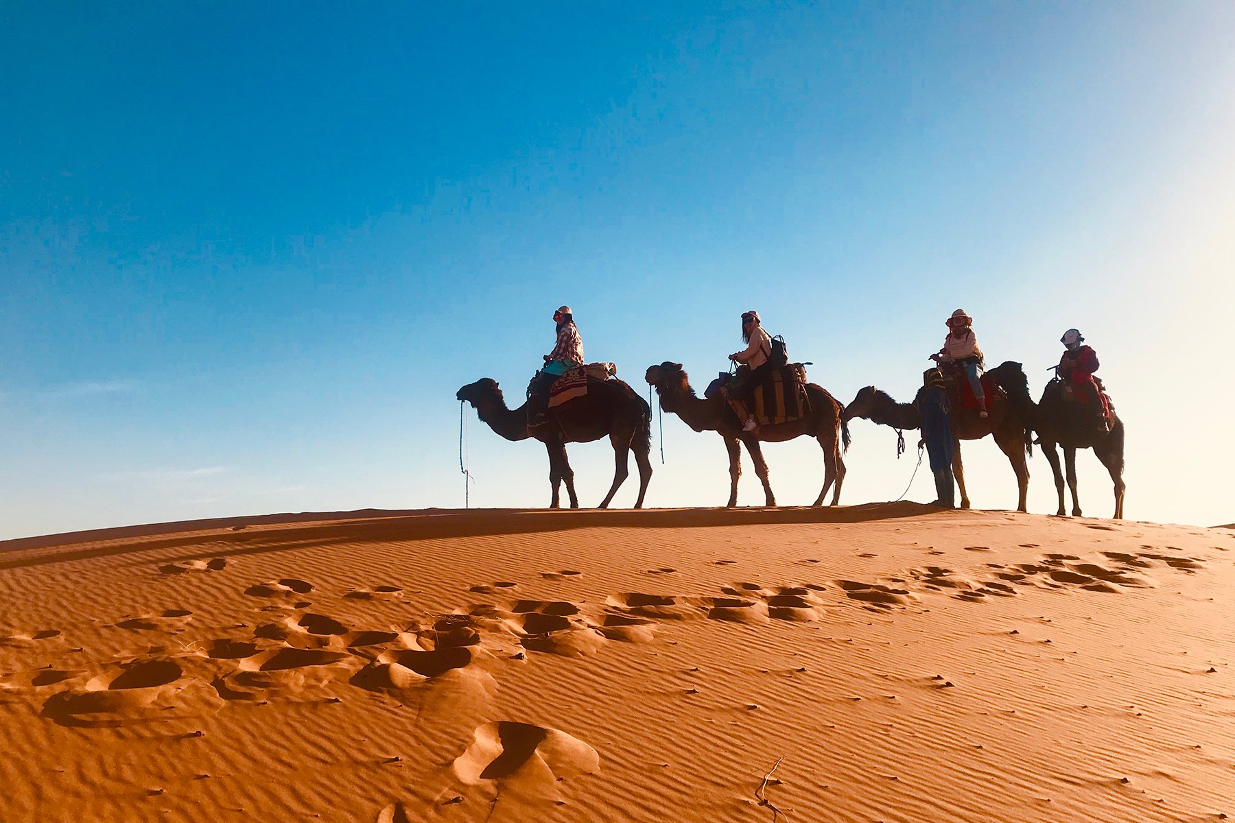 Internationalisation and Student Exchange